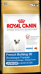 Royal Canin French Bulldog 30 junior 1kg pašaras jauniems prancūzų buldogų veislės šunims